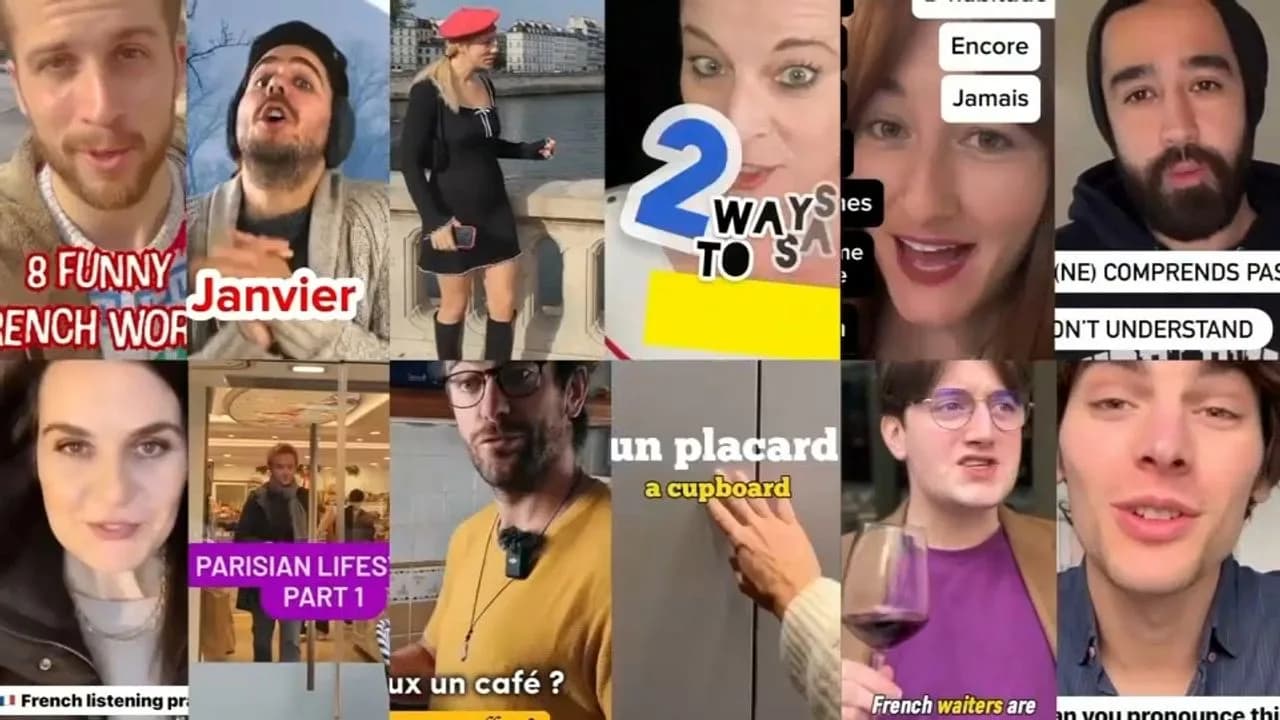 Grille de vidéos verticales TikTok et Instagram sous-titrées